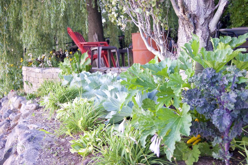 Bed and Breakfast La Belle aux Berges Saint-Denis-sur-Richelieu Exterior foto