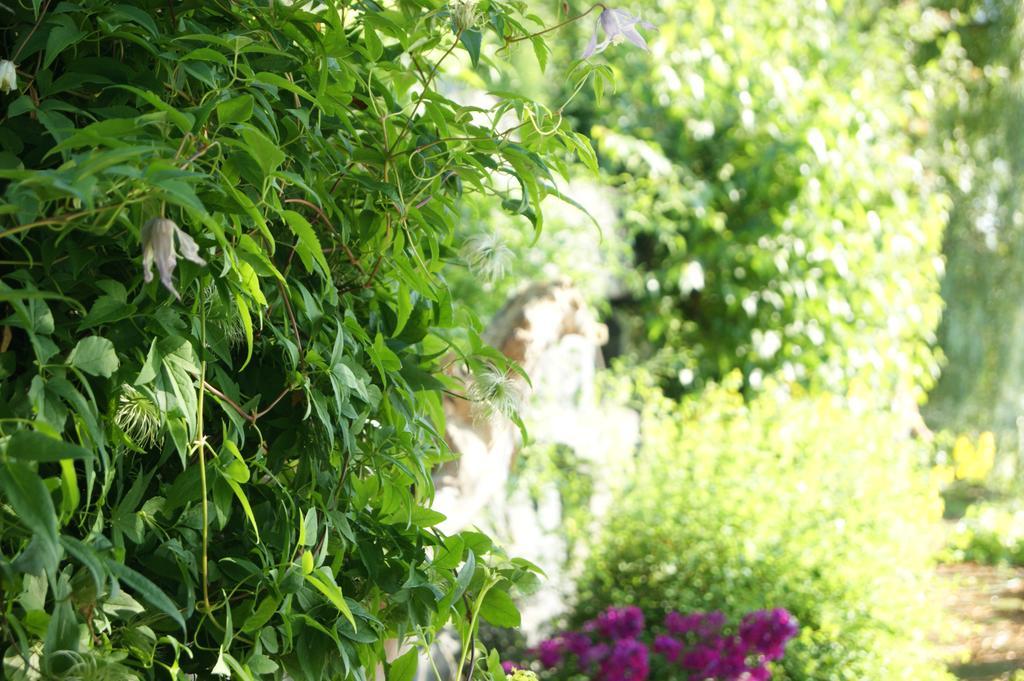 Bed and Breakfast La Belle aux Berges Saint-Denis-sur-Richelieu Exterior foto