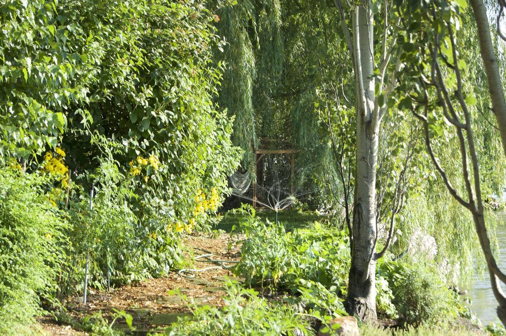 Bed and Breakfast La Belle aux Berges Saint-Denis-sur-Richelieu Exterior foto